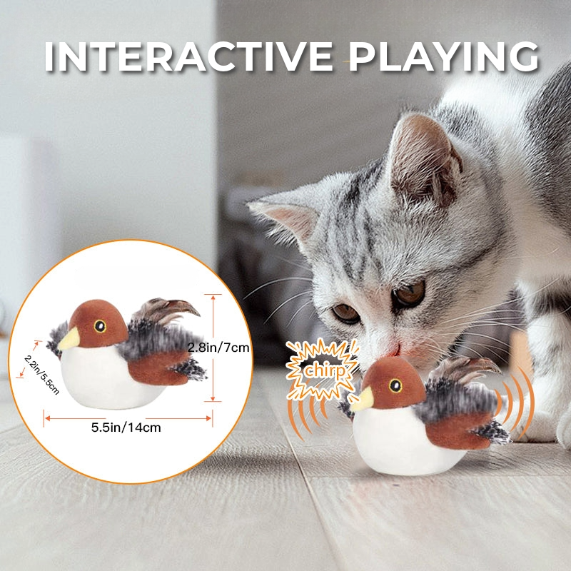 Interactive Cat Toy