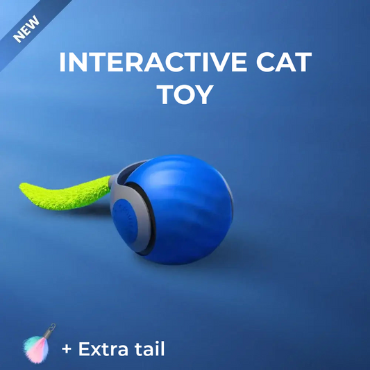 Interactive Cat Toy